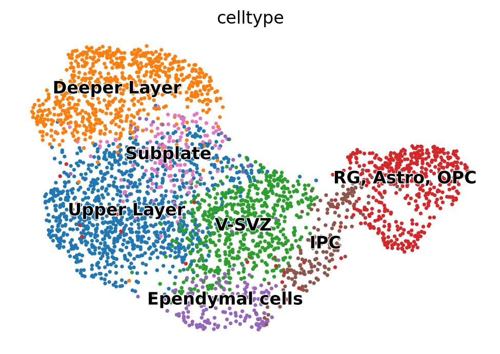 _images/MultiVelo_Demo_23_0.png
