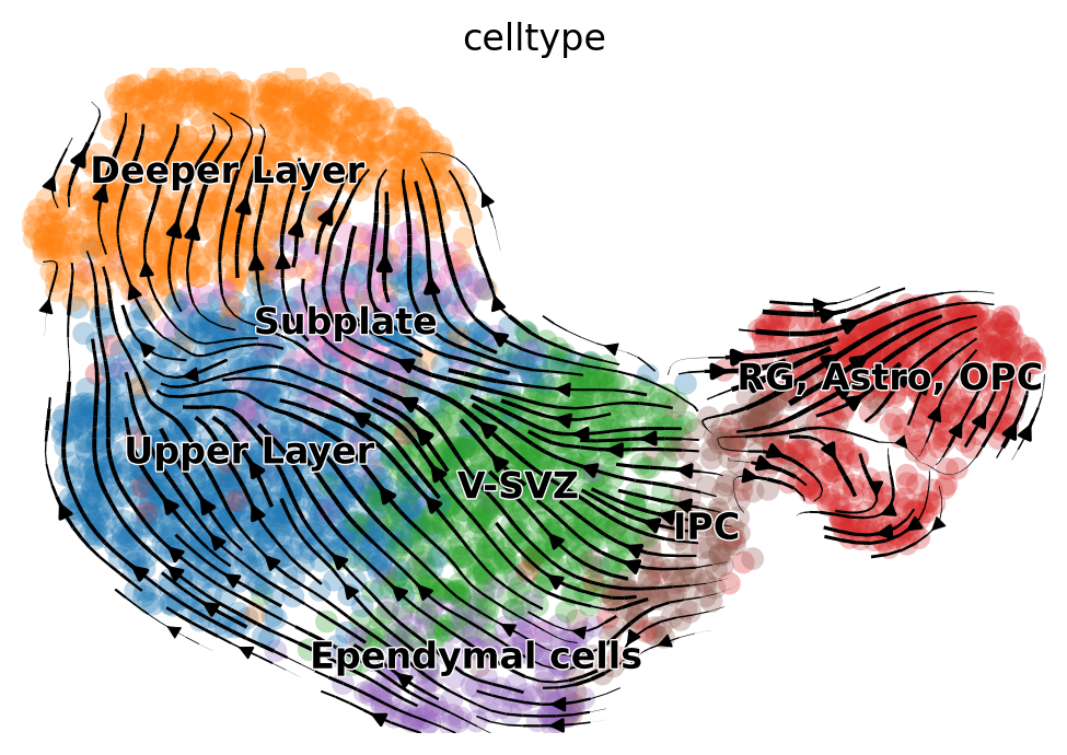 _images/MultiVelo_Demo_39_1.png