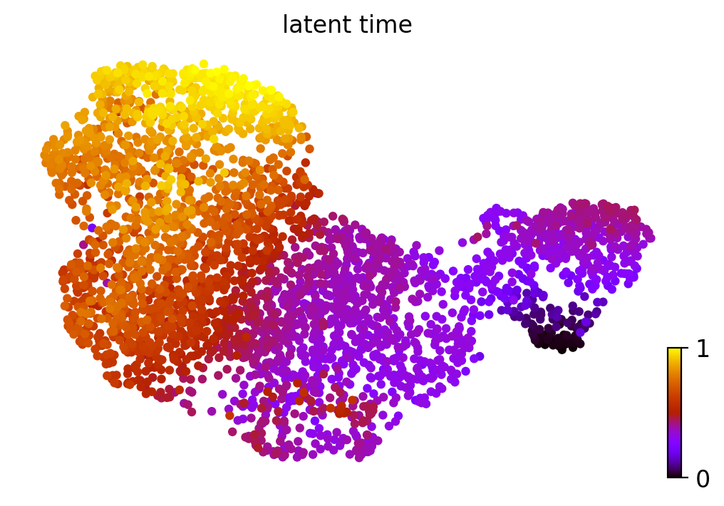 _images/MultiVelo_Demo_40_0.png
