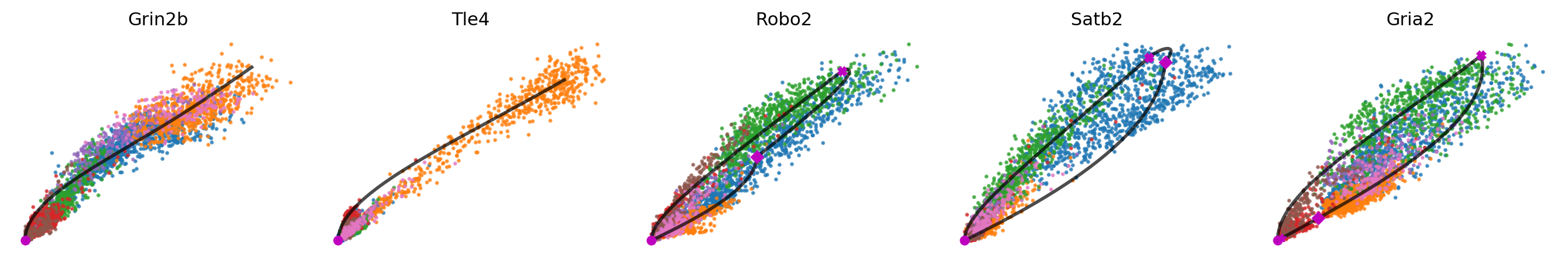 _images/MultiVelo_Demo_50_0.png