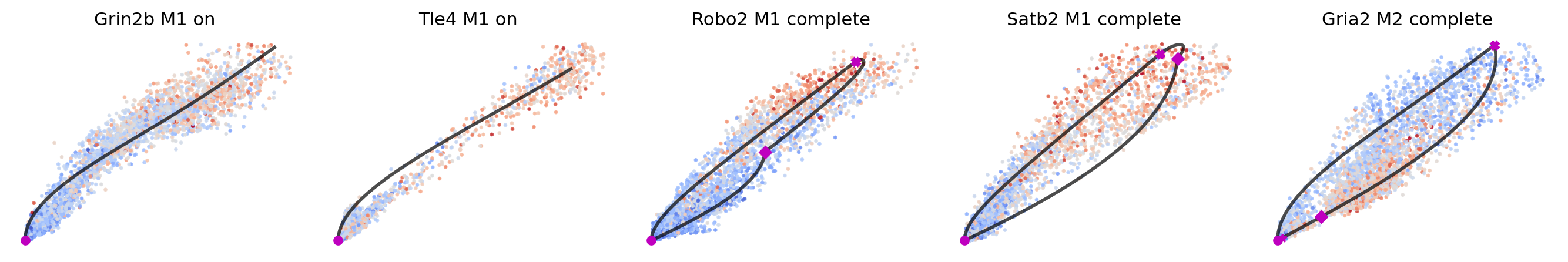 _images/MultiVelo_Demo_51_0.png