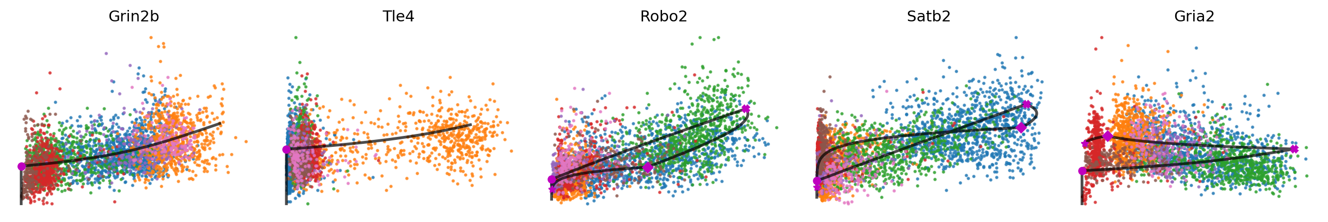_images/MultiVelo_Demo_52_0.png