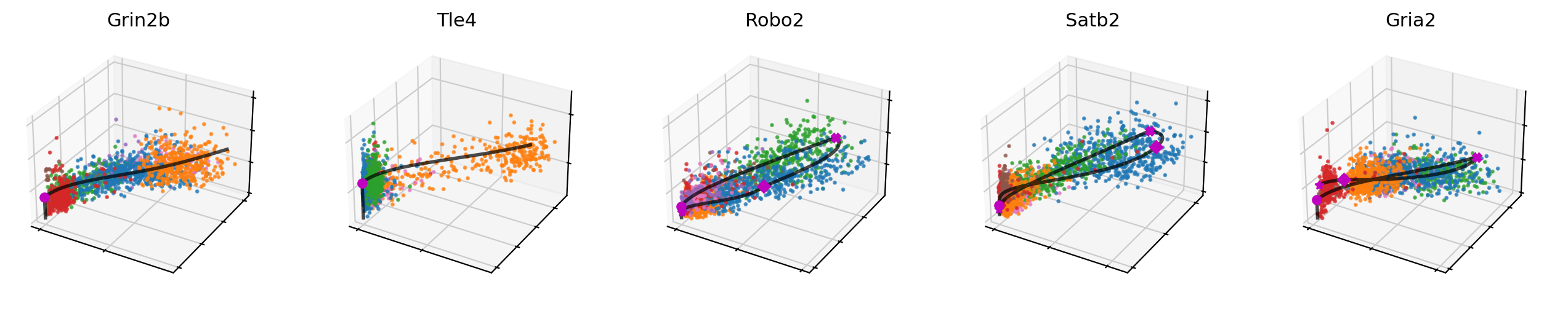 _images/MultiVelo_Demo_53_0.png