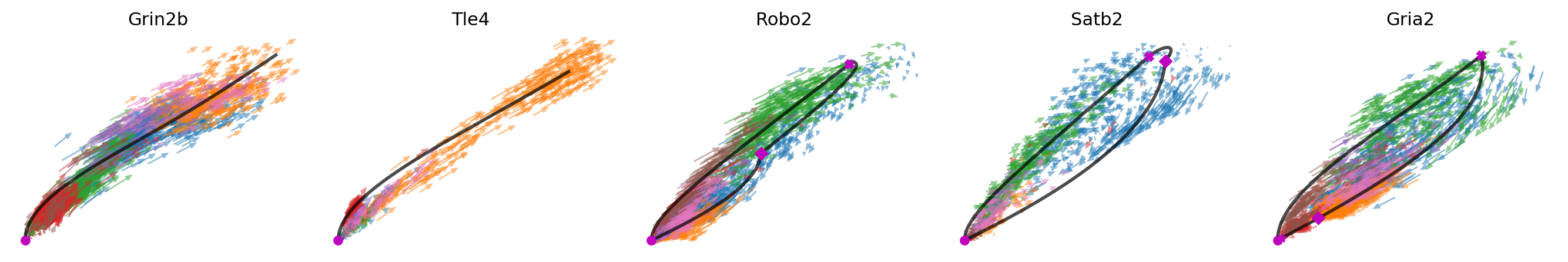 _images/MultiVelo_Demo_55_0.png