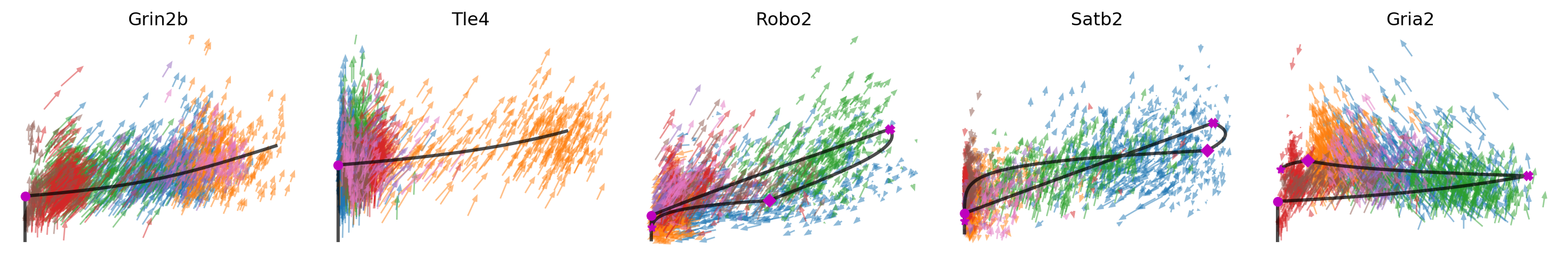 _images/MultiVelo_Demo_56_0.png