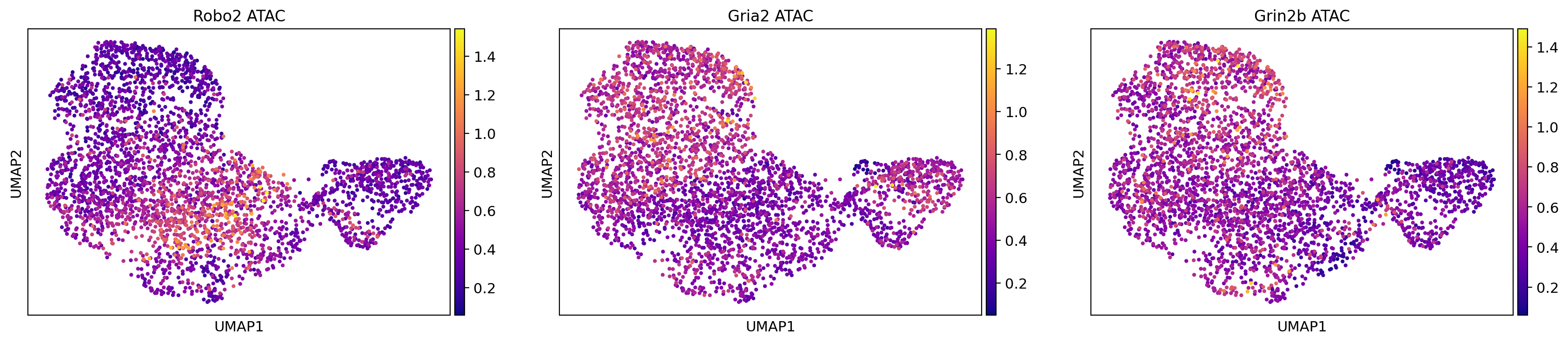 _images/MultiVelo_Fig3_39_1.png