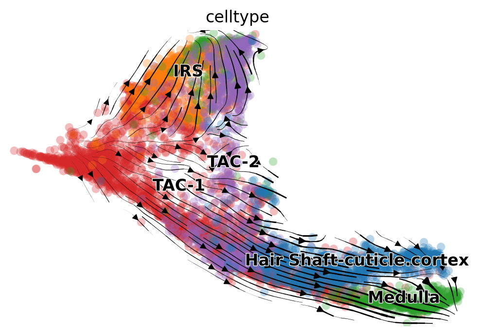 _images/MultiVelo_Fig4_17_1.png