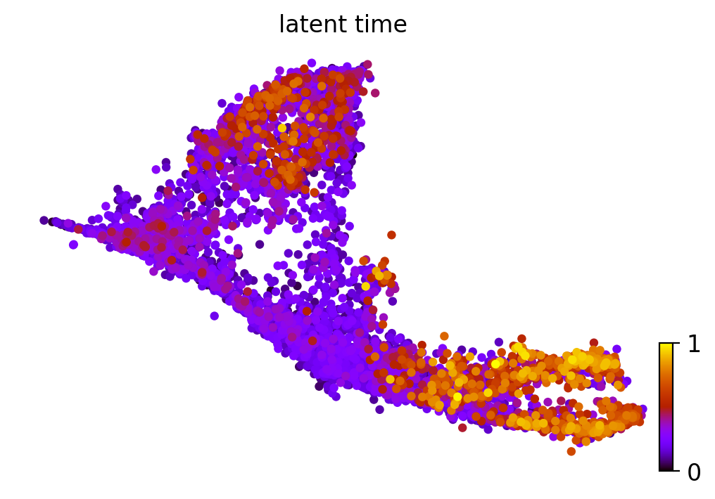 _images/MultiVelo_Fig4_18_0.png