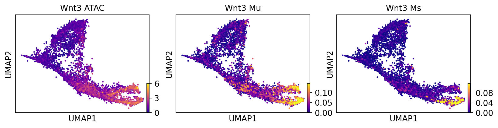 _images/MultiVelo_Fig4_24_0.png