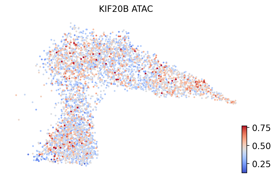 _images/MultiVelo_Fig5_26_2.png