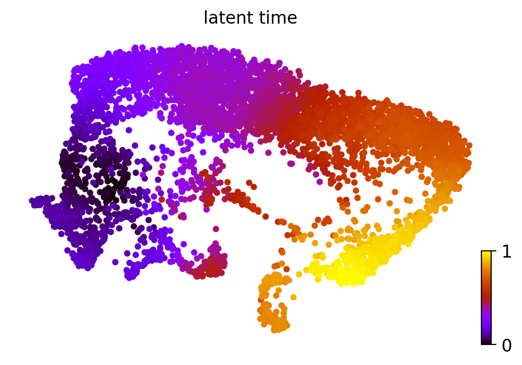 _images/MultiVelo_Fig6_17_0.png
