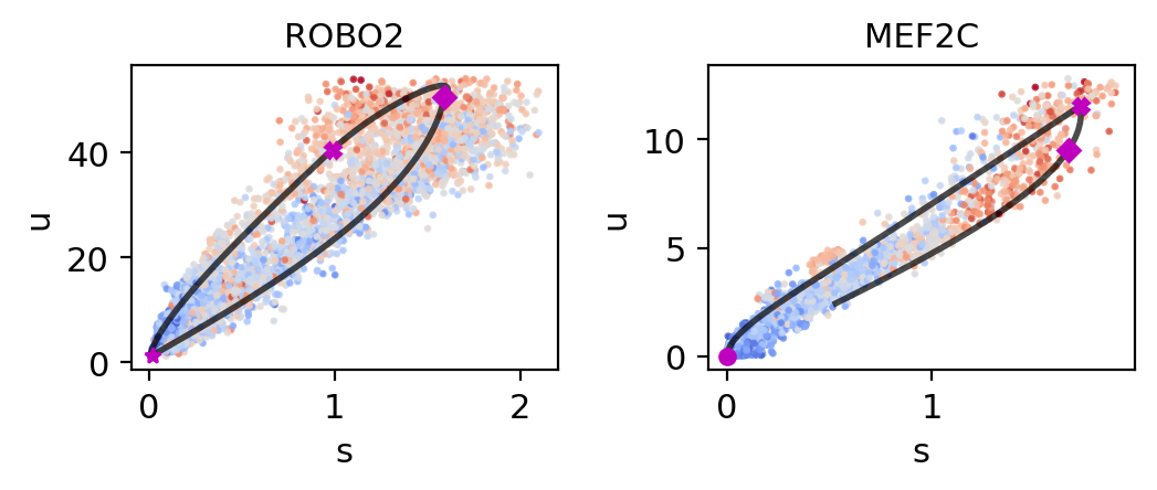 _images/MultiVelo_Fig6_21_0.png