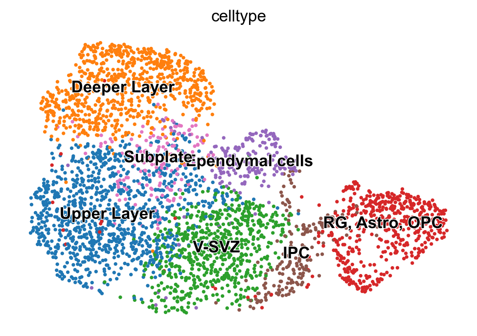 _images/MultiVelo_Demo_23_0.png