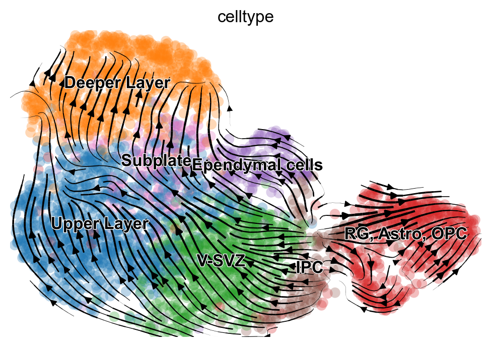 _images/MultiVelo_Demo_39_1.png