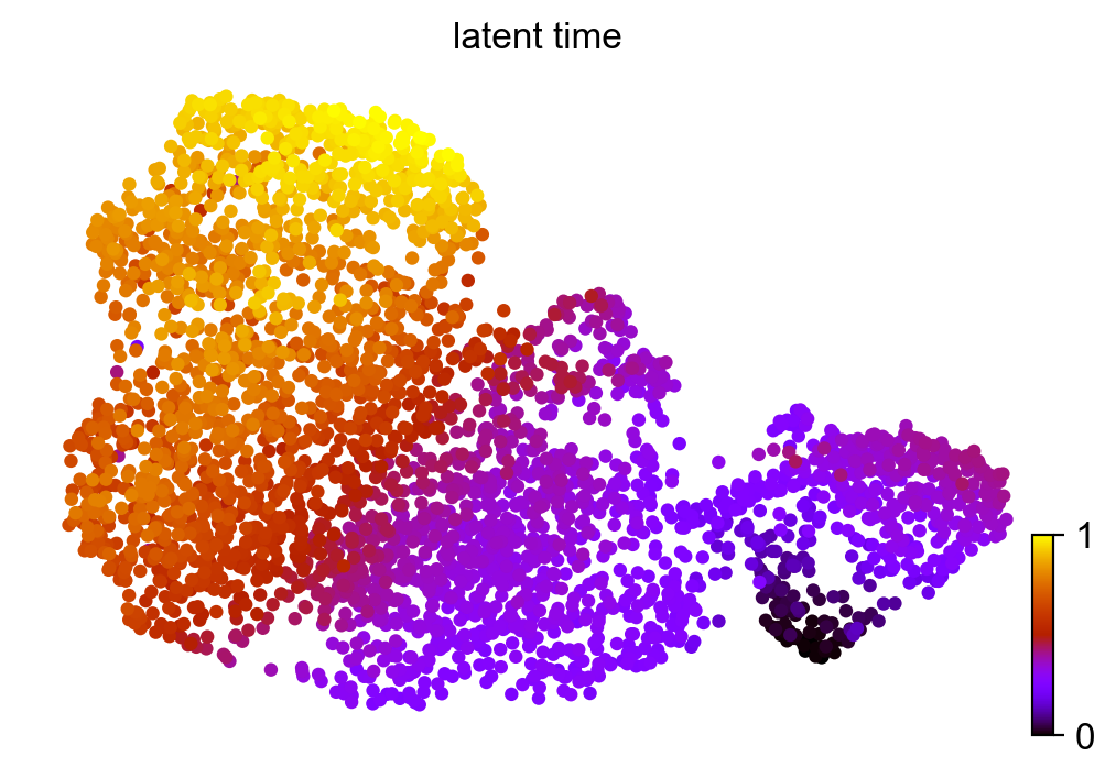 _images/MultiVelo_Demo_40_0.png