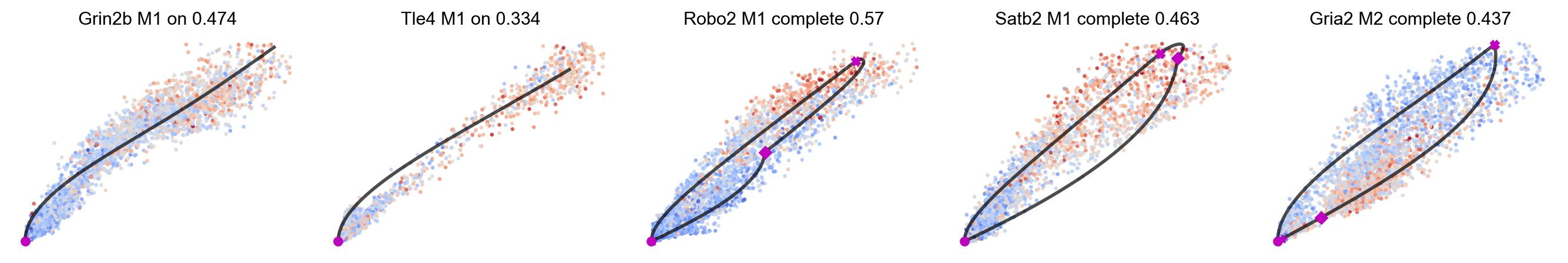 _images/MultiVelo_Demo_51_0.png
