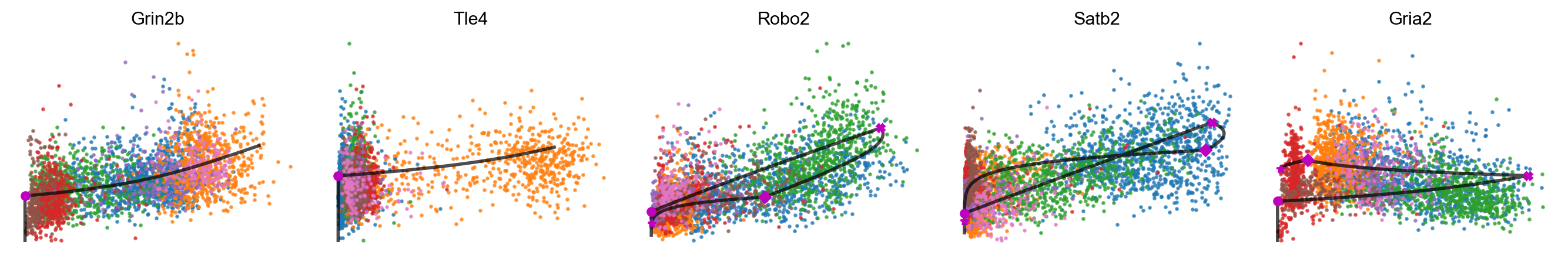 _images/MultiVelo_Demo_52_0.png