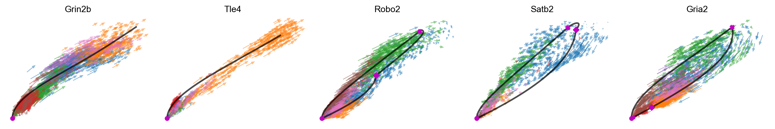 _images/MultiVelo_Demo_55_0.png