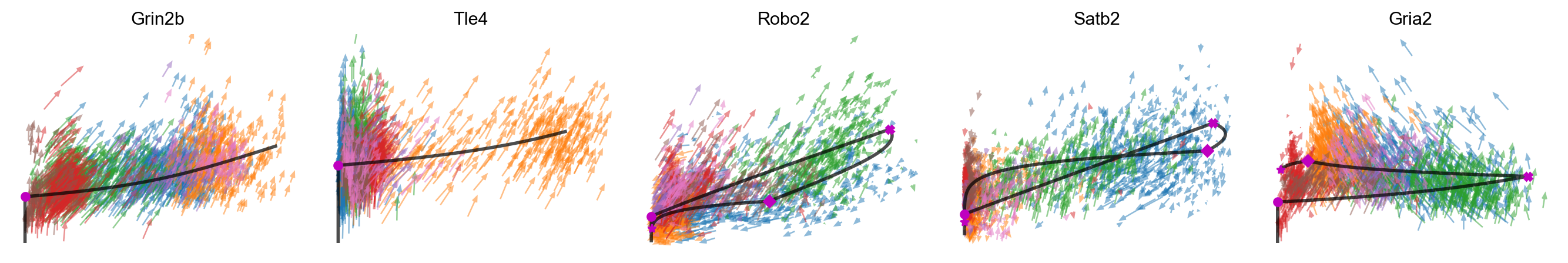 _images/MultiVelo_Demo_56_0.png